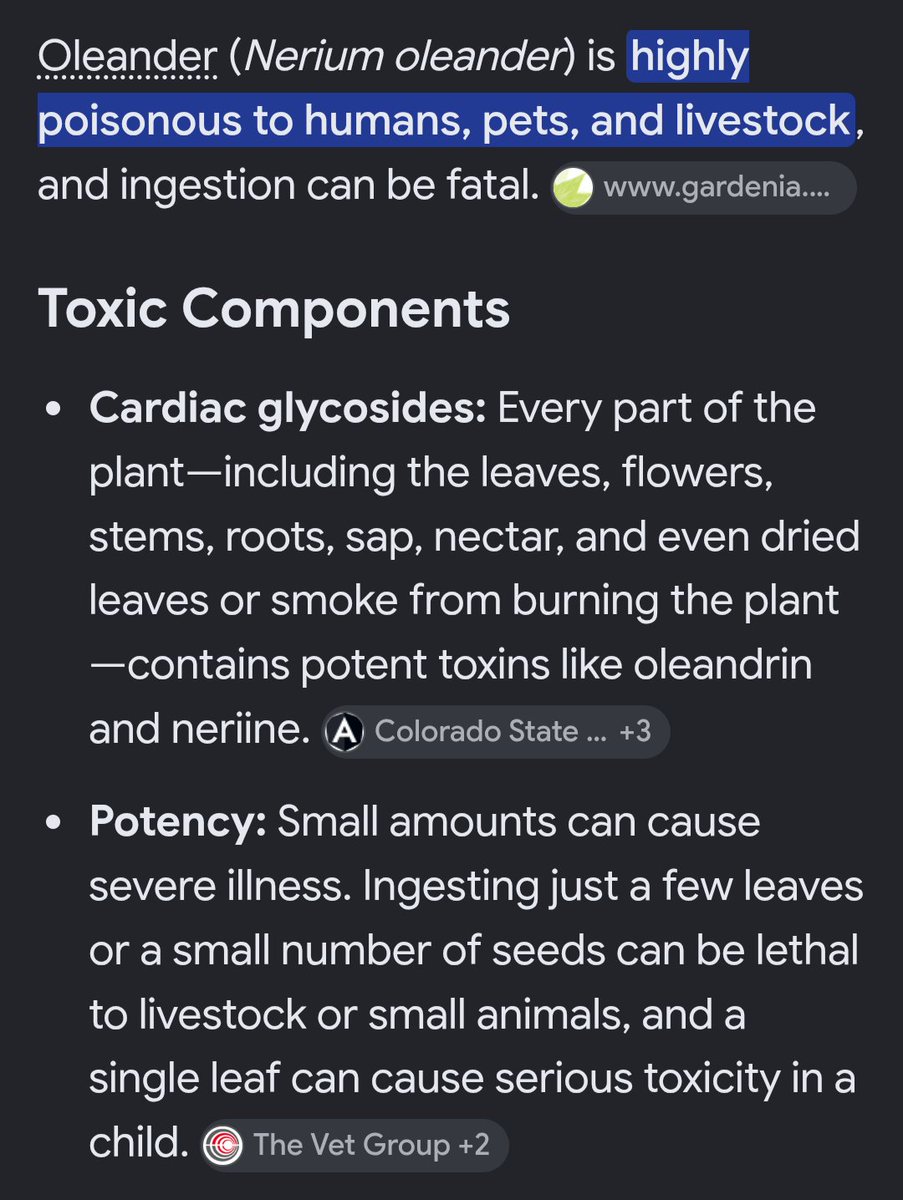 anemonemiditemp's tweet photo. I looked this up to compare it to oleander (errane fusion) oh brother https://t.co/cLT1sdUQLS