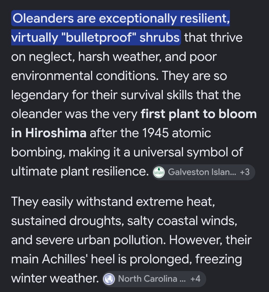 anemonemiditemp's tweet photo. I looked this up to compare it to oleander (errane fusion) oh brother https://t.co/cLT1sdUQLS