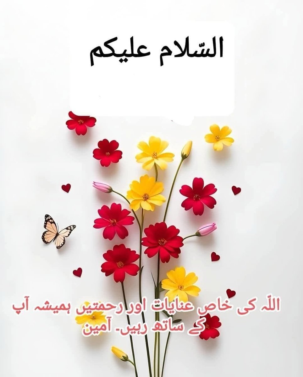 Zafar0093's tweet photo. Good morning 🌄🌞 https://t.co/mbfK1FZnaz