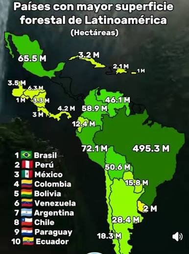 CuevasRomani's tweet photo. @Kanochex @JesusLeonkfx Es cuestión de investigar, pero un mono carente de inteligencia como tu no puede JAJAJAJAJAJA, son literalmente la sociedad más despreciada de América ustedes, todo un ejemplo de inmundicia 🤪 https://t.co/cWPBHgUXxw