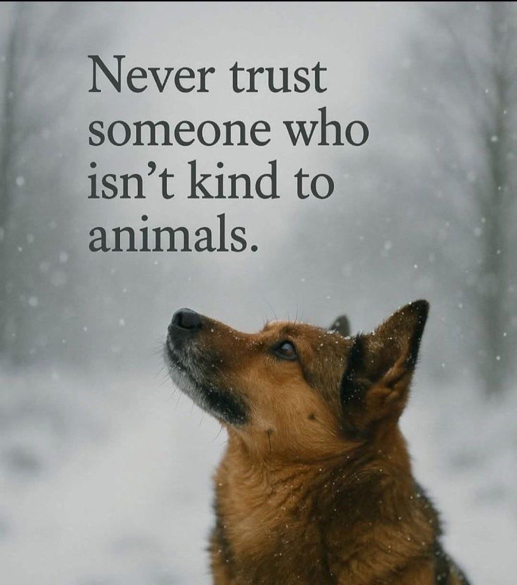 Russ_0927's tweet photo. Never!! https://t.co/8ak9DzF43z