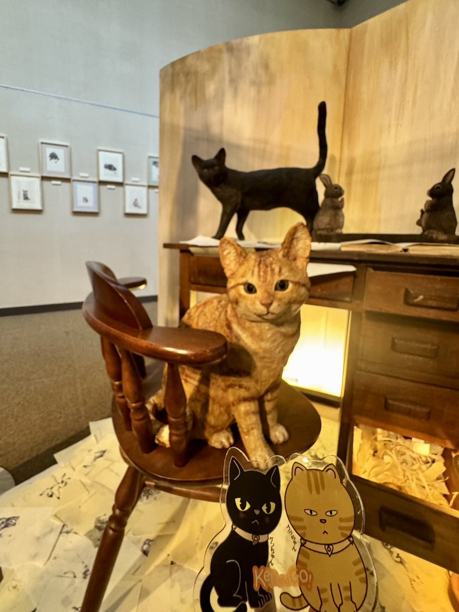 bijutsu1's tweet photo. #KENandGOと旅 @おかざき世界子ども美術博物館(The World Children's Art Museum in Okazaki)🎨ケンちゃん🐈‍⬛とゴッちゃん🐈いよいよ最終会場ですニャ。#おかざき世界子ども美術博物館 #はしもとみお https://t.co/0c2W66xMsq