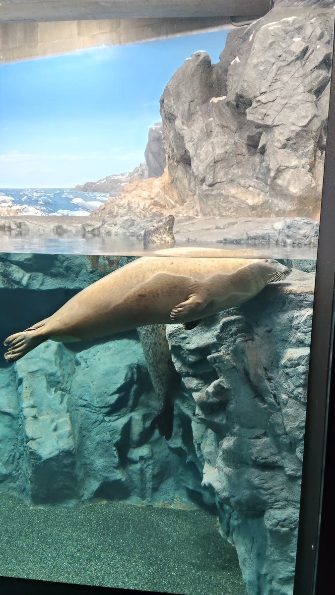 aShiGe_Ocean's tweet photo. 海響館 https://t.co/dMXvpED70p