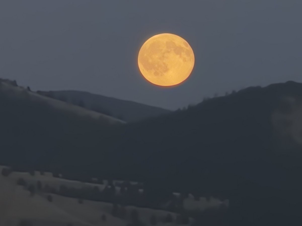 BlueMountainBB's tweet photo. #Montana #Moon https://t.co/rOAvYmGT1c