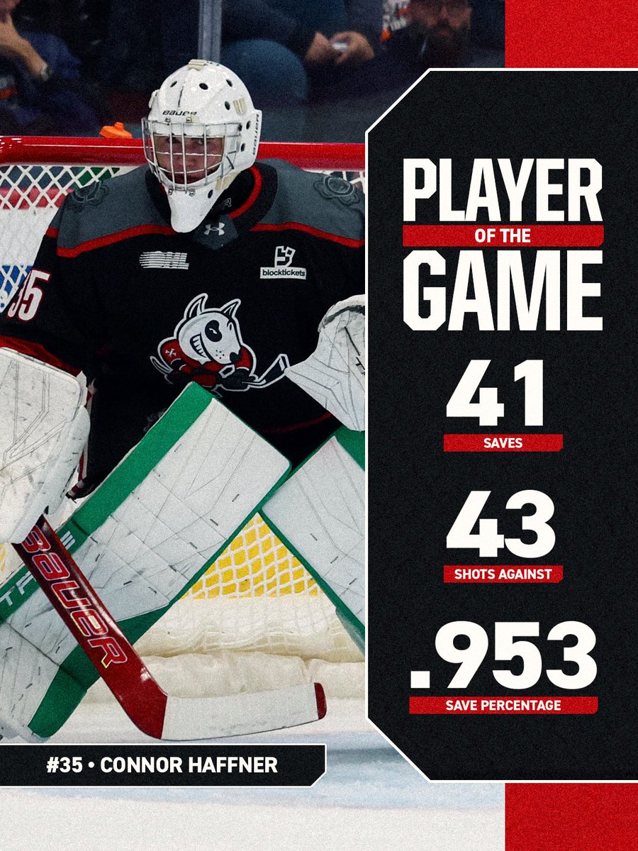OHLIceDogs's tweet photo. 39 saves on 41 shots. First OHL win. Have a night, Haff. 🧱

#DogCountry https://t.co/t07l1twozW