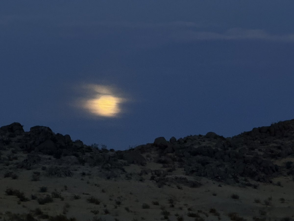 purseburrito's tweet photo. The sky at my place tonight. Full moon rising. https://t.co/JO0hB6NESd