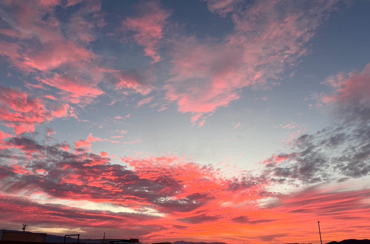 purseburrito's tweet photo. The sky at my place tonight. Full moon rising. https://t.co/JO0hB6NESd
