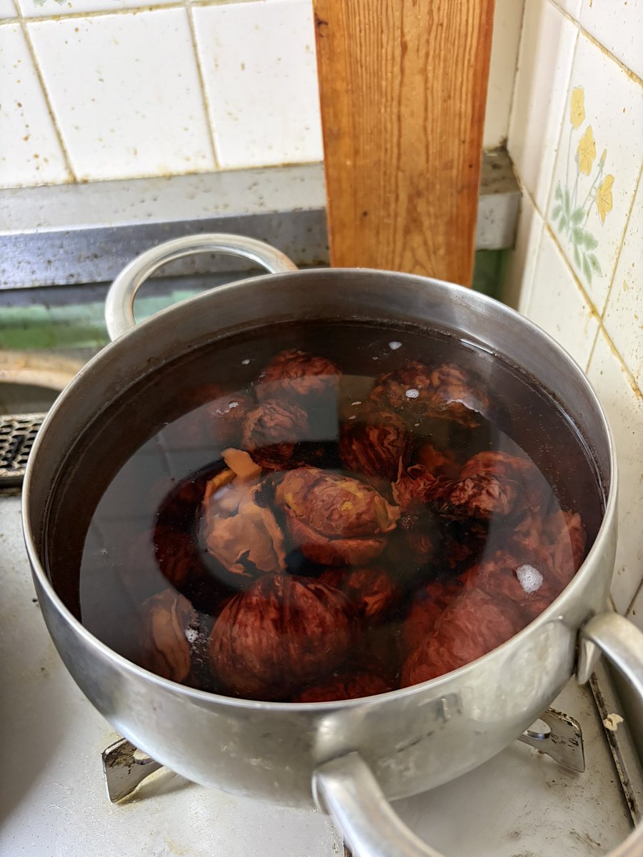 Yamaimotokade's tweet photo. 初夏に義実家から梅をいただいて梅仕事し、まだ梅シロップを飲み切らないうちに晩夏になり、栗をいただいて栗仕事をしました。

季節に追われている https://t.co/F1TdnwK27x