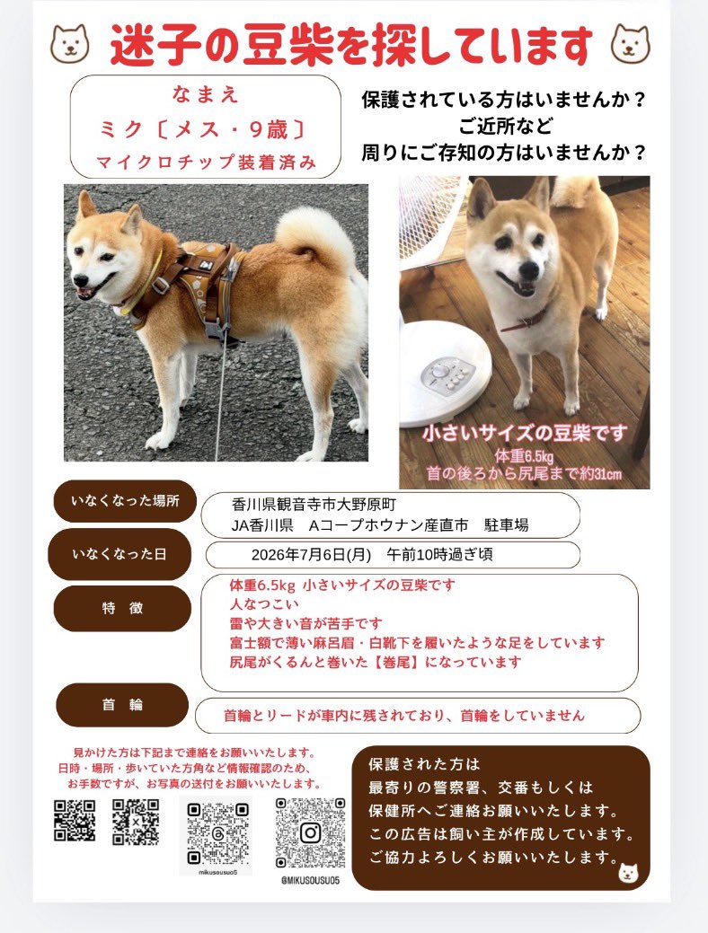 wu4gqfmiku's tweet photo. 【#拡散希望】
香川県観音寺市で迷子の豆柴を探しています。
・日時：2026/7/6 朝10時頃
・場所：JA香川県 Aコープホウナン産直市 駐車場
・特徴：小柄なメス(6.5kg)、薄いまろ眉、巻き尾、足先が白い、首輪なし
些細な目撃情報でもDMへお願いします。
#迷子犬 #香川県 #観音寺市 #豆柴 https://t.co/qnkvn0iKvB