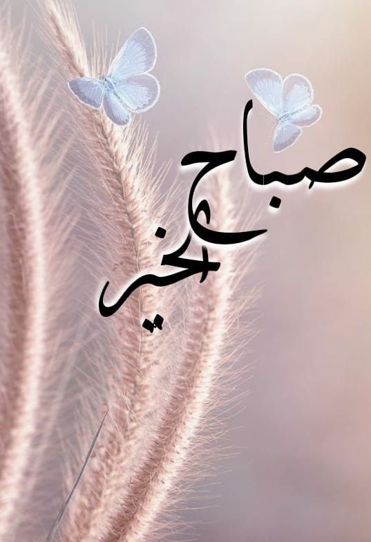 Aeeeerr988's tweet photo. اللَّهُمَّ صَبَاحًا…🤍
.
.
.
تَنَفَّسُ فِيهِ أَمَانِينَـا، صَبَاحًـا تَتْفَرِجُ فِيهِ هُمٌـوٌمُنـاَ، وَلَا يَمَسَّنَـا فِيهِ سُوءً…🤍
.
.
#صباح_الخيـر https://t.co/ykkeYL8LJ7