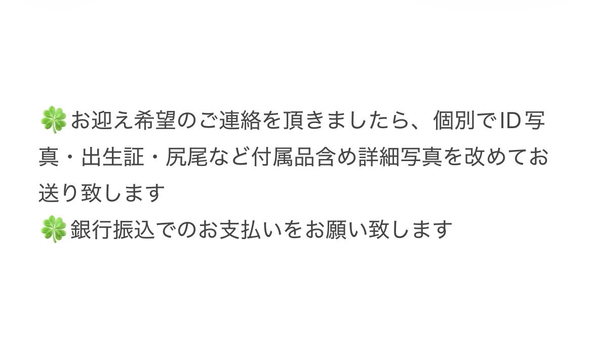 llodacoc's tweet photo. 画像のぬいちゃんたちをお迎え頂ける新しいお家を探しております。
詳細をご確認の上リプまたはDMにてご連絡頂けますと幸いです。
#無ぬい譲渡 https://t.co/KtniFWLU2E
