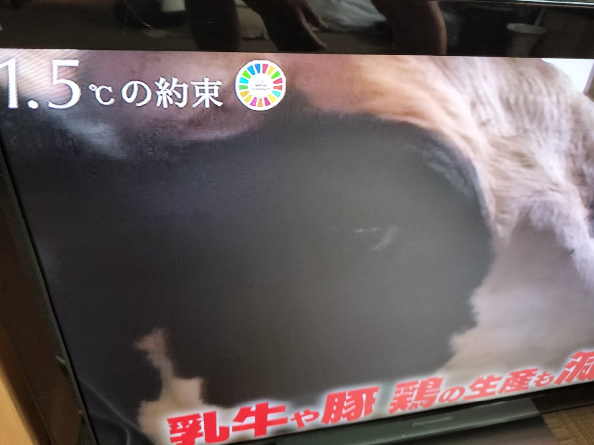 vso_osv's tweet photo. 学生さん!(2026.9.27(日))
(とんかつ)カツ丼がピンチです in 2050
1992年 第1回 #地球サミット
1995年 第1回 #COP1
1997年 #COP3 #京都会議 #京都議定書
2004年🇯🇵ブーム #ロハス #LOHAS
2008年 #ゲリラ豪雨 定着
2015年 #国連サミット #SDGs
2018年 臨界点
2022年 #線状降水帯 予測情報発表
2026年… https://t.co/K3UpTVUOj9
