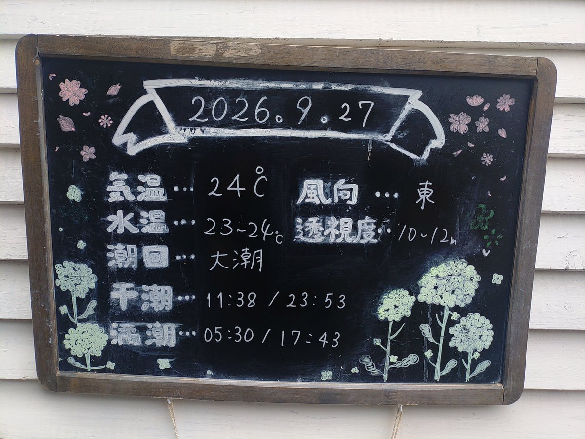 kamendiver's tweet photo. 今日はココ https://t.co/QCFN8iwFYO