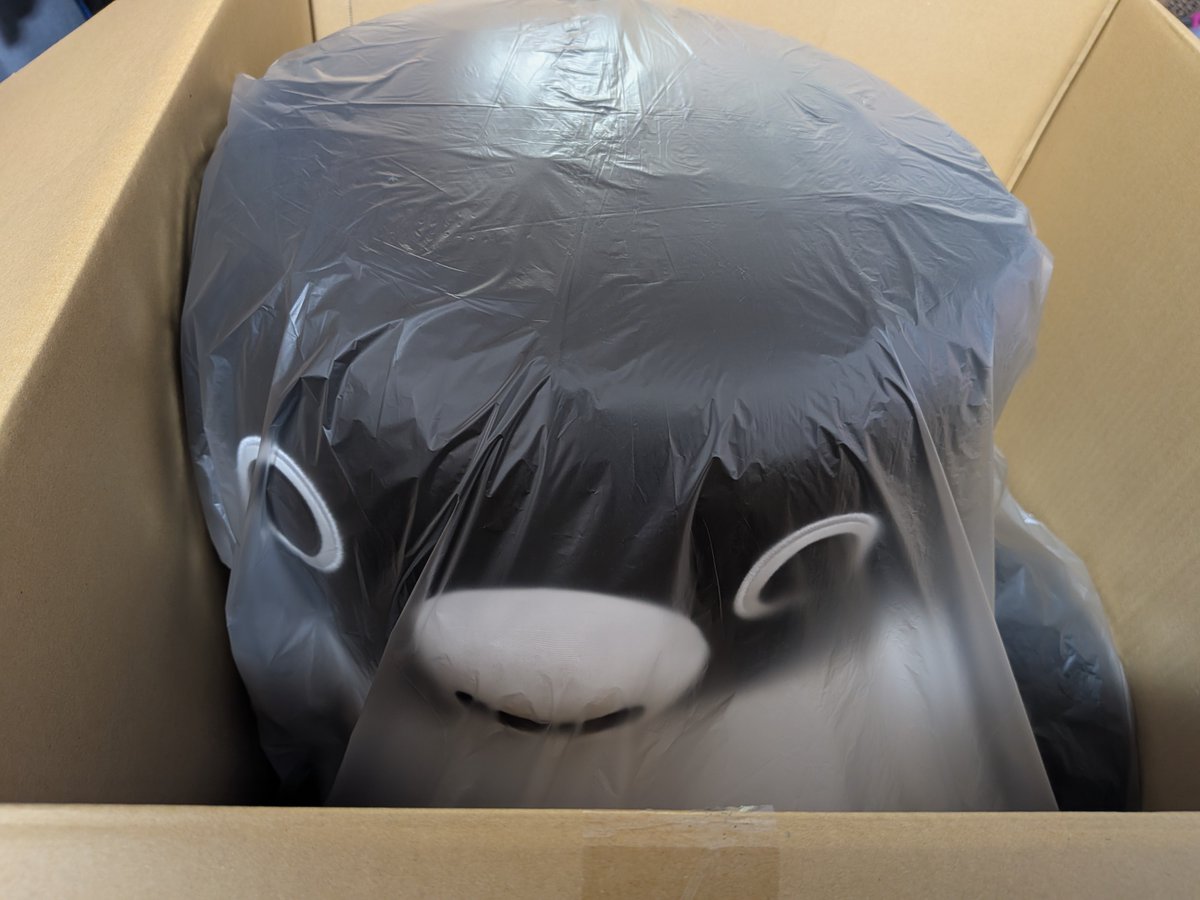 track_penguin's tweet photo. ぱかっ https://t.co/BUW5JHbLS0