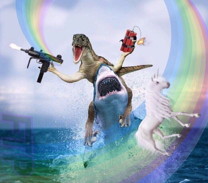 crismackby's tweet photo. the sharks today against vegas https://t.co/SY9pfq7dwo