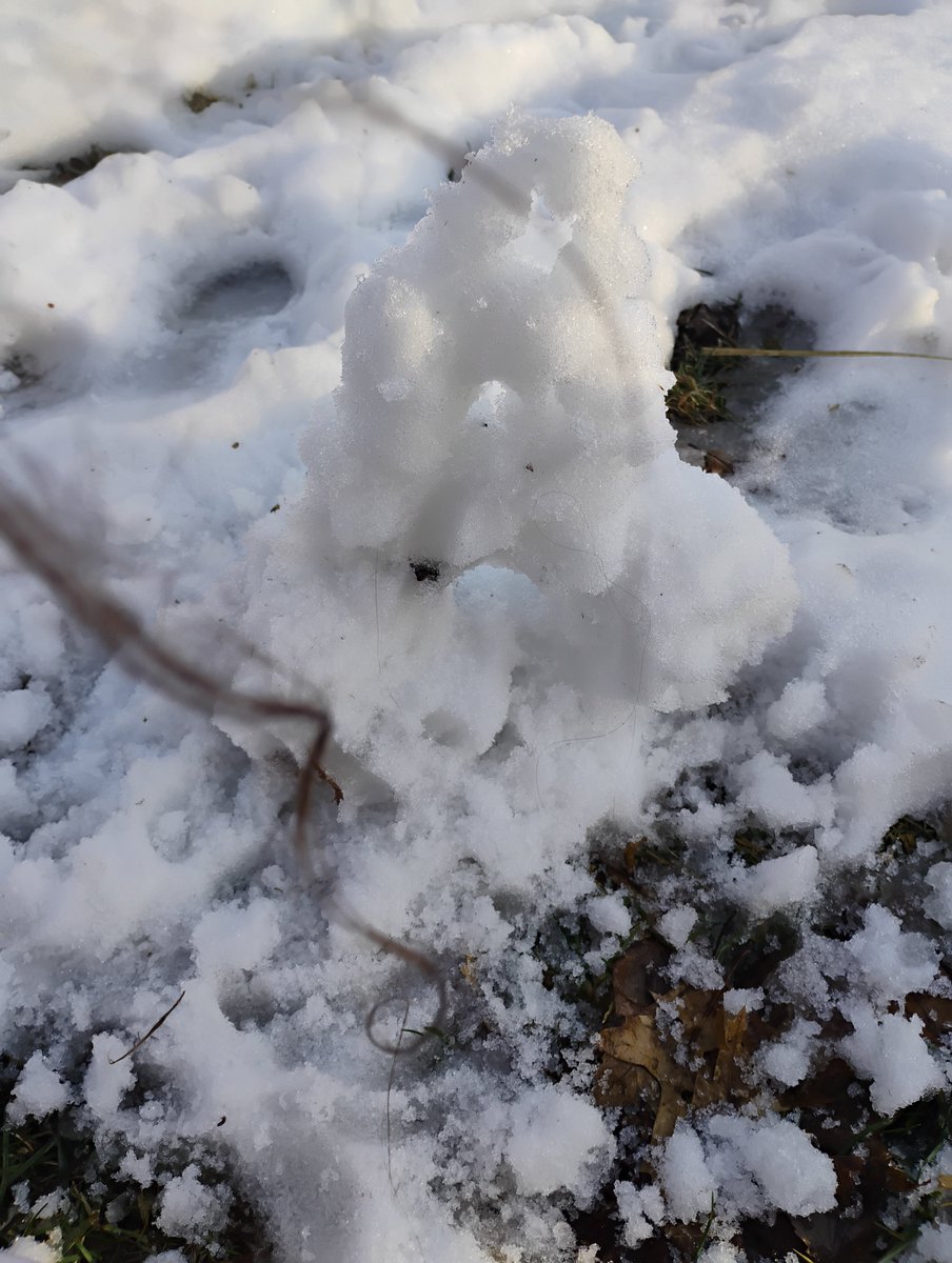 Fuzzyfox28's tweet photo. @Skullz_Skeleton snow thingy https://t.co/h5zLqWqv5A
