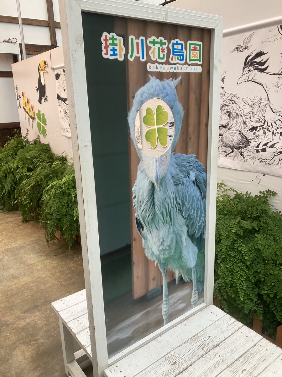 TSUNASYRUP's tweet photo. 花鳥園ガチ楽しかった https://t.co/Nt7uITz8Wa