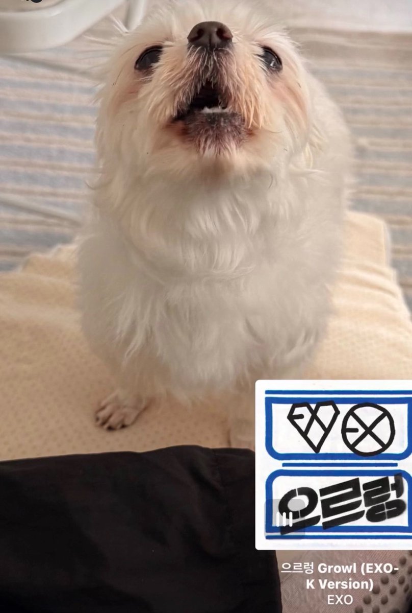 bappuri0's tweet photo. 앤팀조심해 https://t.co/6qNDZsOTy1