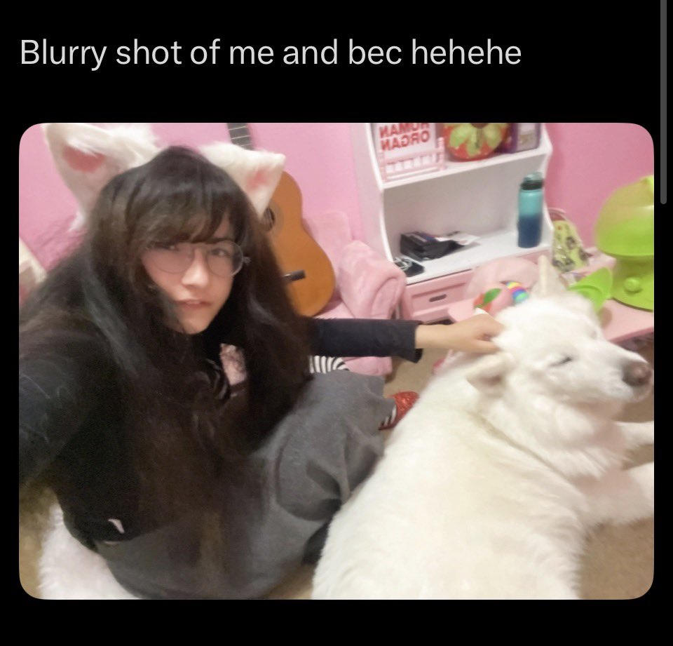 nerdpunkpuppy's tweet photo. I’d slaughter you into shreds of pulp you sad pile of edge lord dumpster fire https://t.co/B9vXLmyJQd