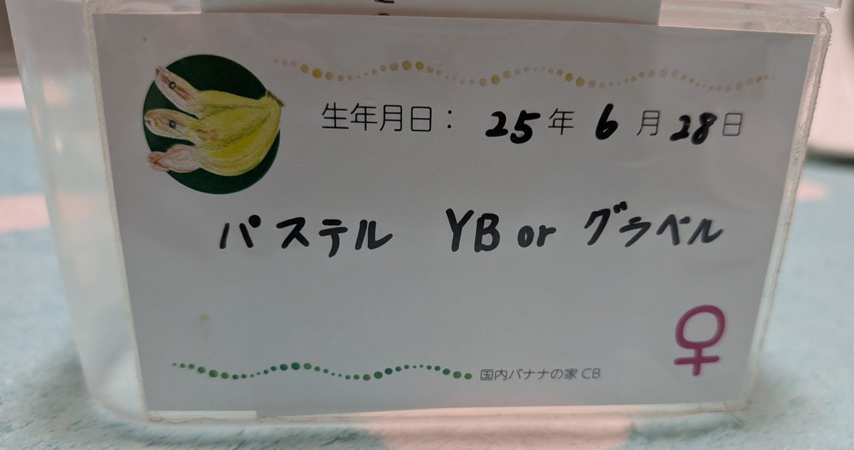 BallPython1207 tweet picture