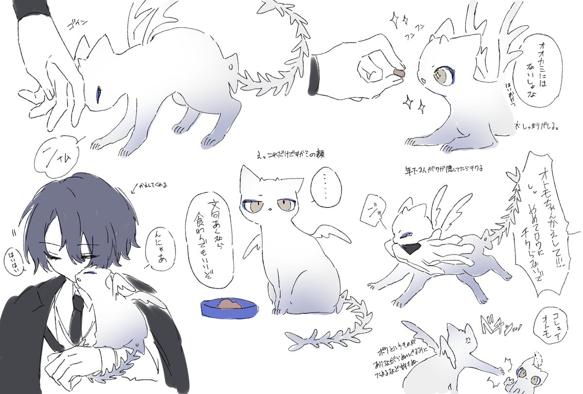 Makoz850's tweet photo. お気に入り再掲 おともちゃん https://t.co/SWkyKEwrU3