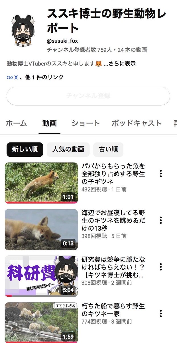 susuki_fox's tweet photo. キツネ専門のガチ博士がキツネの動画を投稿しまくっているチャンネルです！🦊
解説動画もあるよ✨️
年内に登録者1000人を目指しているので、応援よろしくお願いします！！ https://t.co/8JJgJ816RU