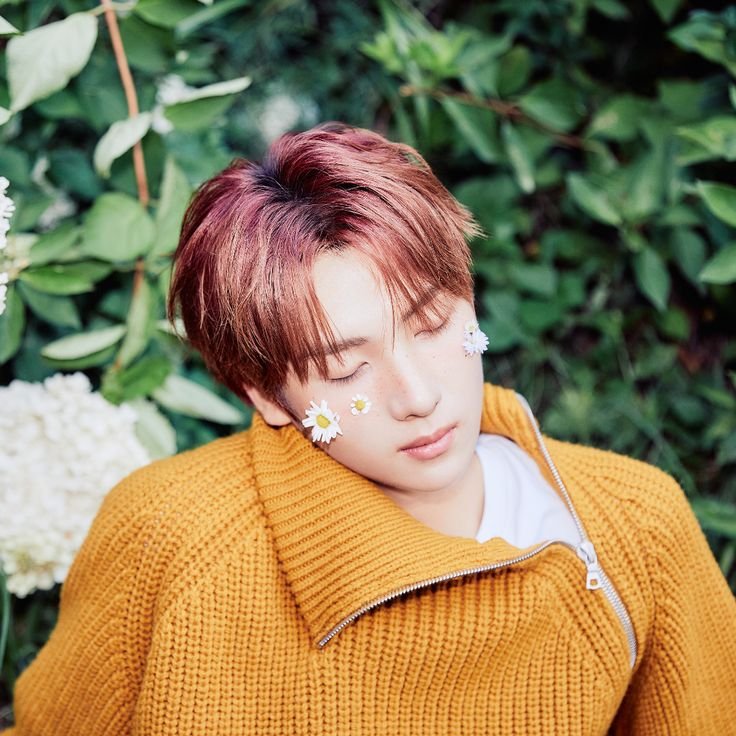 jaepariz's tweet photo. i got orange ! 🧡

reply and i'll give you a color to assign with your favs ♡ https://t.co/29hnhzBJIk