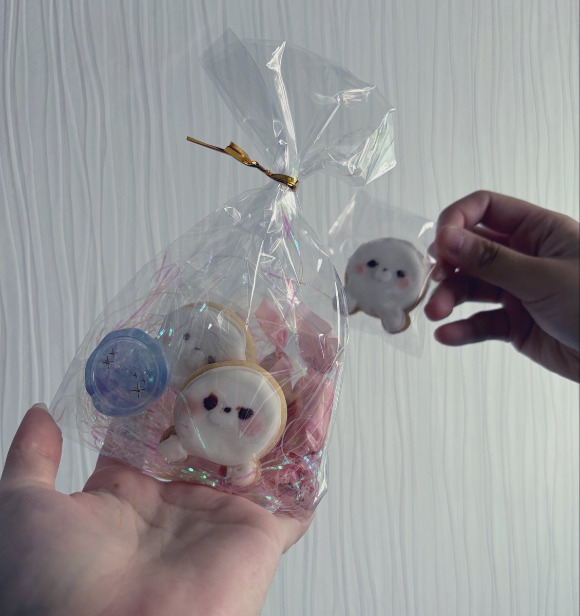 ji_an_ia's tweet photo. りちょに貰ったクッキーおいちちゅぎ！ https://t.co/WWD1WRruGF