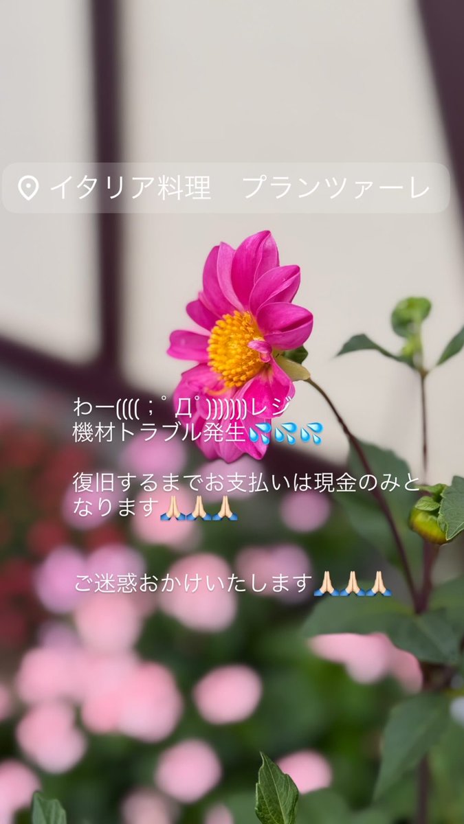 pranzare_row's tweet photo. https://t.co/S5vHBLg8gt