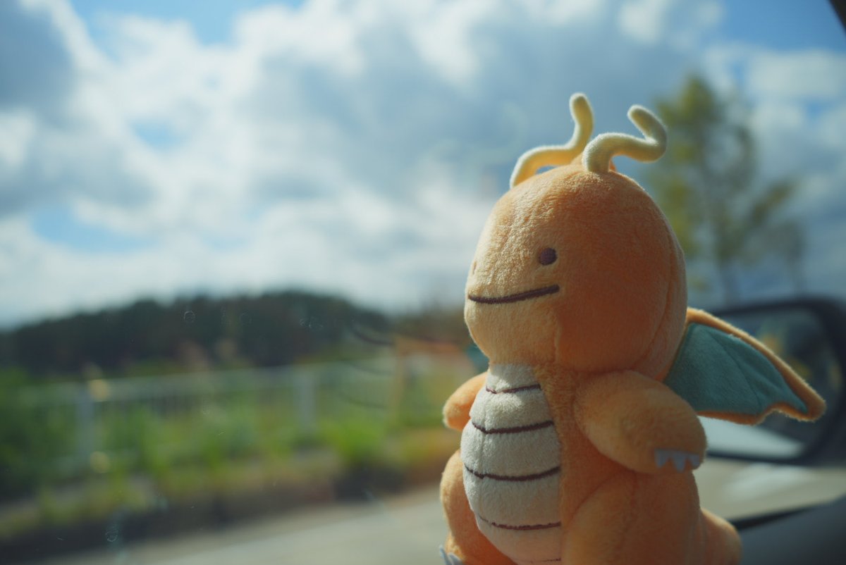 Meeeks71vt's tweet photo. カイリュウのにほんばれ☀️ https://t.co/CAholOUIrU
