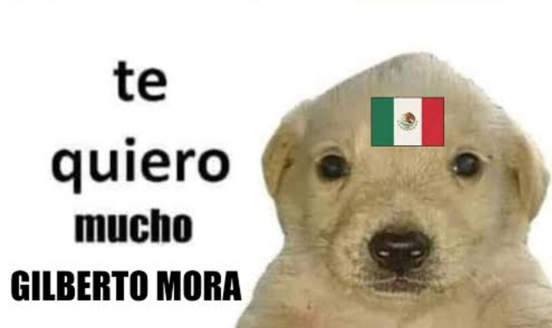 gaelinls's tweet photo. ERES LA VERGA GILBERTO MORA https://t.co/MRj91HnJpF