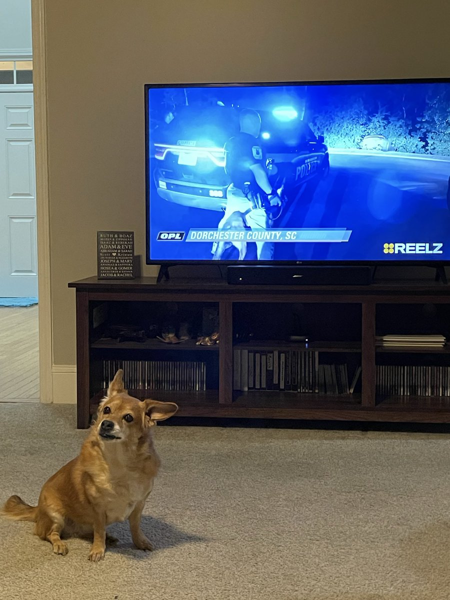 zoecharlucy's tweet photo. Catching up on last night’s #oplive and Penny seemed to know K9 Yoda was on 😂 https://t.co/gHT4aNNNTH