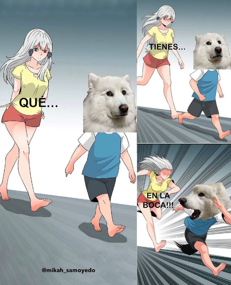 DiloConPerritos's tweet photo. Cuando ves a tu perrito masticar algo de la nada… https://t.co/9ZEvQDbnmo