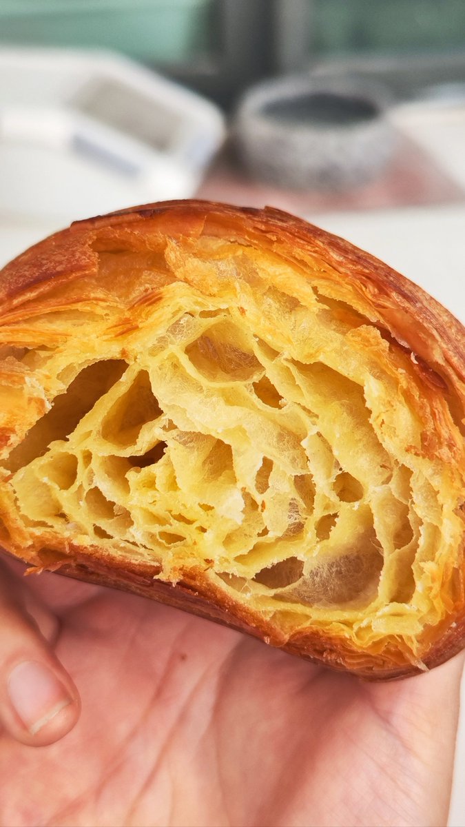 SonTerrebf's tweet photo. Just plucked this warm, buttery croissant fresh from the bakery—still flaking when I bite into it, chef’s kiss , https://t.co/6tEA8VIQ41