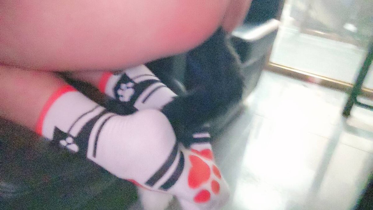 YiWan65432's tweet photo. 不要在这种地方做这种事口牙！
#屁股 #尾巴 #肛塞 https://t.co/HyUKKSGfcv