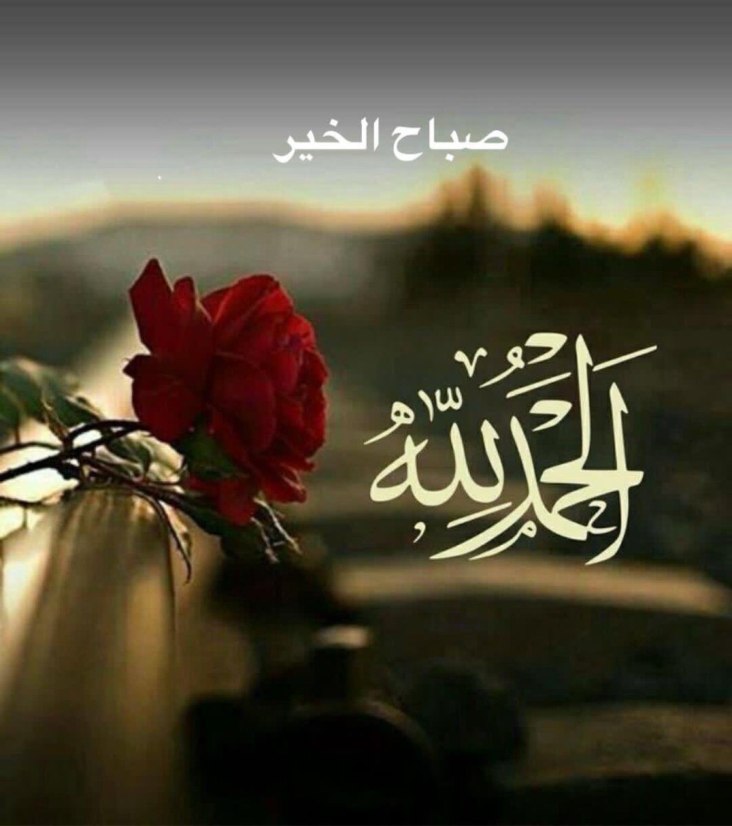 Almosawi_14's tweet photo. الحمد لله الأول قبل كل شيء
والآخر بعد فناء كل شيء
العليم الذي لا ينسى من ذكره
ولا ينقص من شكره
ولا يخيب من دعاه
ولا يقطع رجاء من رجاه
اللهم صل على محمد وال محمد
أسعد الله صباحكم بكل خـير https://t.co/FM8LRUVrqc