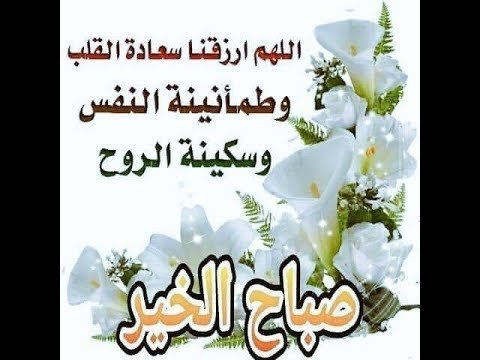 shmoghmohamed's tweet photo. https://t.co/92Z0R7s5Qv