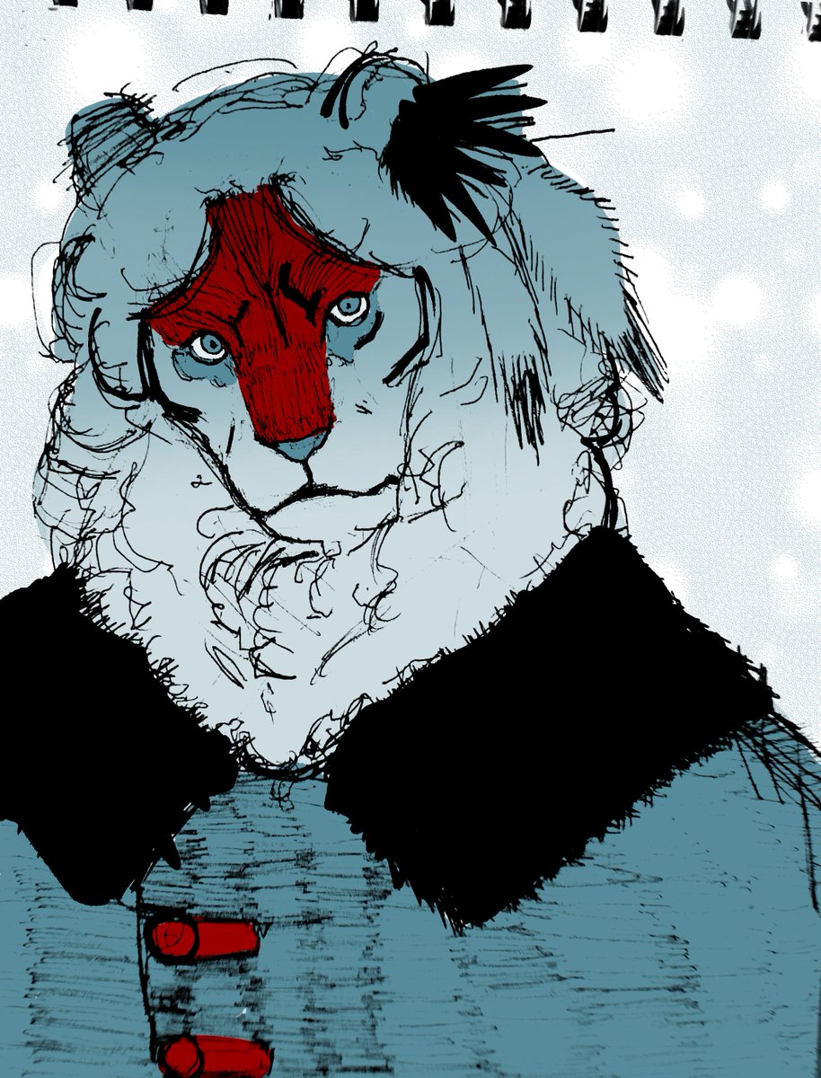 Boyocatt's tweet photo. The snow falls https://t.co/ThPhrQHCHD