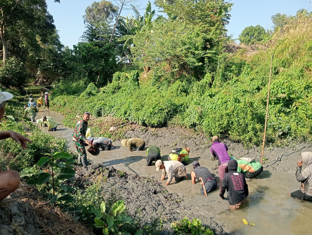 KODIM__1404_PRG's tweet photo. Babinsa Koramil 1404-03/Mattiro Bulu, Sertu Mansur bersama masyarakat melaksanakan kerja bakti membersihkan saluran irigasi di Dusun Bunga Losie, Desa Pananrang, Kecamatan Mattiro Bulu, Kabupaten Pinrang, Minggu (27/9/2026). https://t.co/VBJZAgohSA