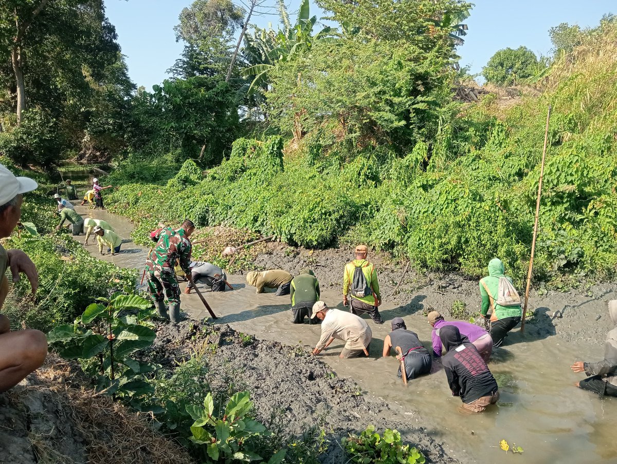 KODIM__1404_PRG's tweet photo. Babinsa Koramil 1404-03/Mattiro Bulu, Sertu Mansur bersama masyarakat melaksanakan kerja bakti membersihkan saluran irigasi di Dusun Bunga Losie, Desa Pananrang, Kecamatan Mattiro Bulu, Kabupaten Pinrang, Minggu (27/9/2026). https://t.co/VBJZAgohSA