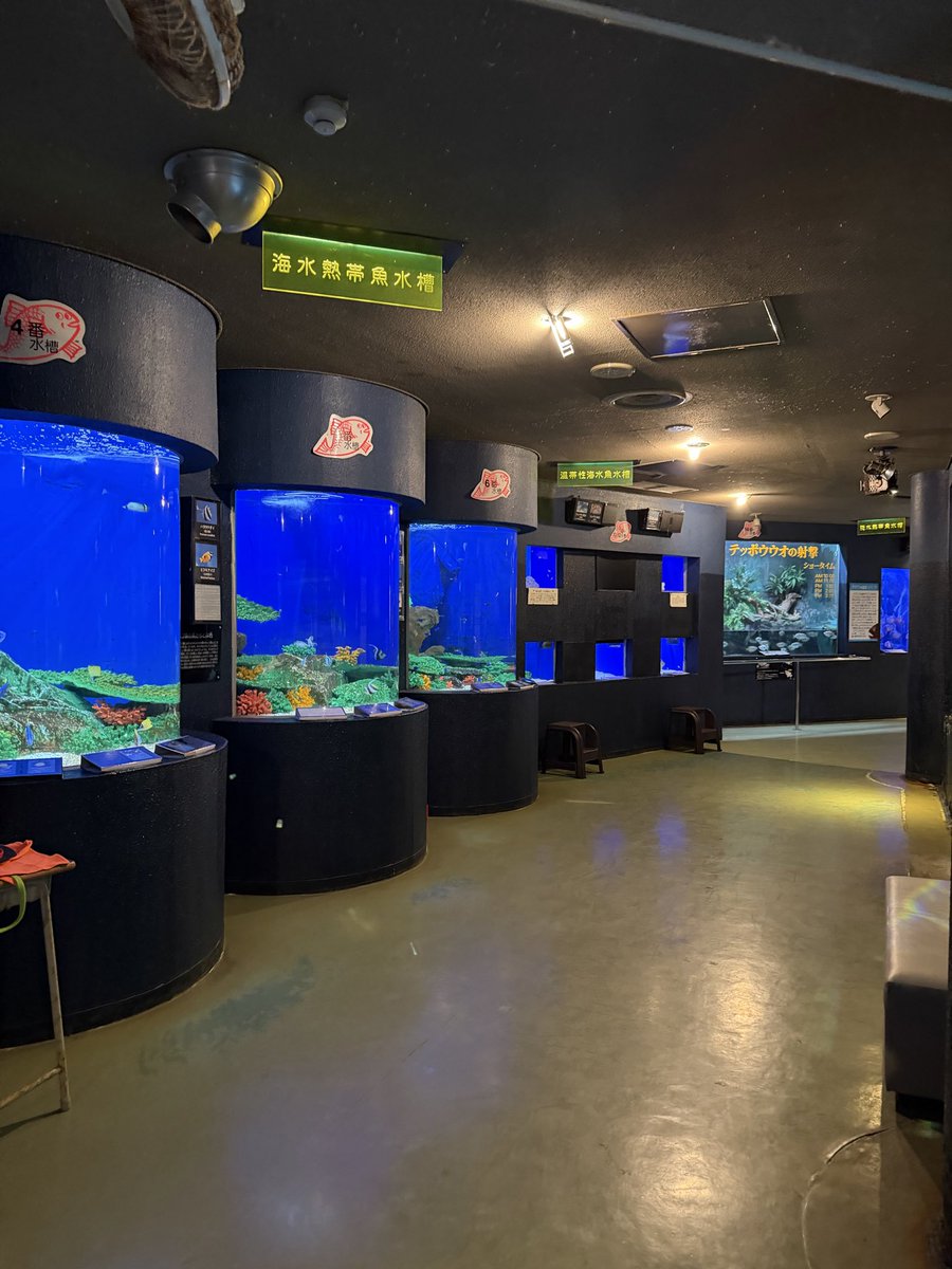 catflish's tweet photo. 記憶はないのに子供の声とエモい音楽で泣きそう
寺泊水族館、いいところでした https://t.co/fQr9B2xdAC