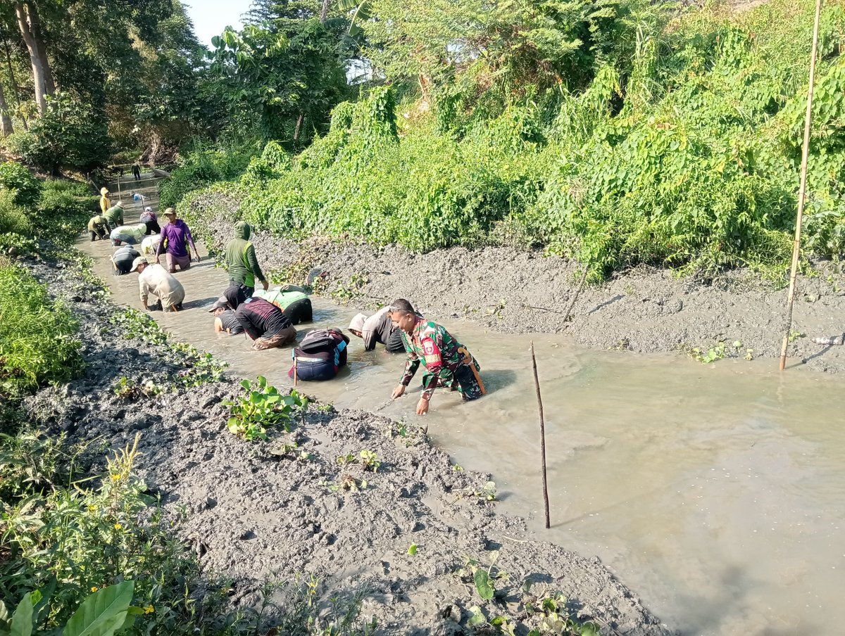 KODIM__1404_PRG's tweet photo. Babinsa Koramil 1404-03/Mattiro Bulu, Sertu Mansur bersama masyarakat melaksanakan kerja bakti membersihkan saluran irigasi di Dusun Bunga Losie, Desa Pananrang, Kecamatan Mattiro Bulu, Kabupaten Pinrang, Minggu (27/9/2026). https://t.co/VBJZAgohSA