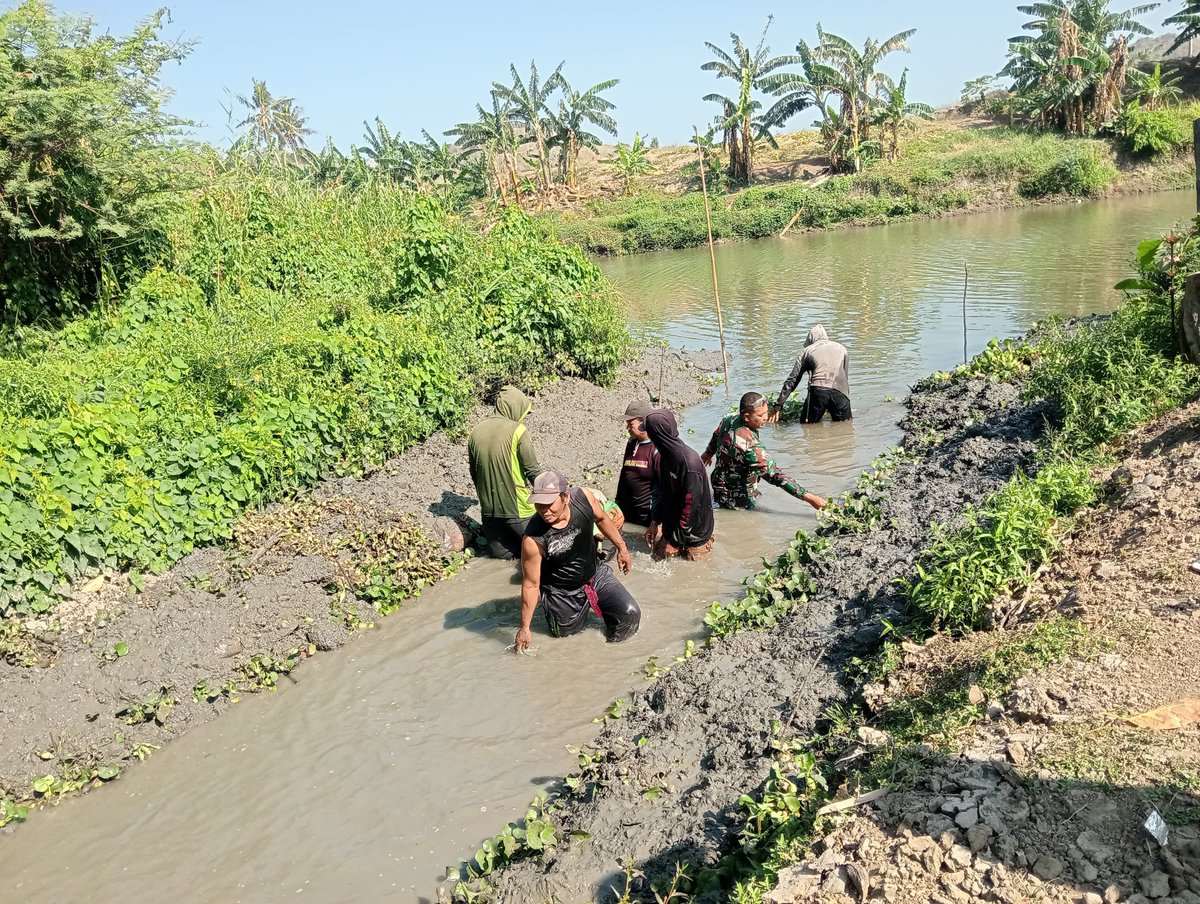 KODIM__1404_PRG's tweet photo. Babinsa Koramil 1404-03/Mattiro Bulu, Sertu Mansur bersama masyarakat melaksanakan kerja bakti membersihkan saluran irigasi di Dusun Bunga Losie, Desa Pananrang, Kecamatan Mattiro Bulu, Kabupaten Pinrang, Minggu (27/9/2026). https://t.co/VBJZAgohSA