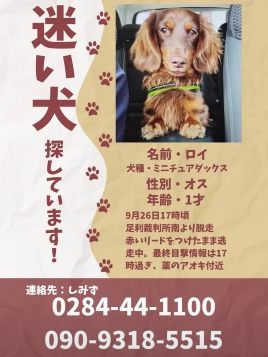 catelaine222's tweet photo. 配達がてらに探してみるか

うちも脱走した事あるから、他人事には思えない

＃足利市迷い犬 https://t.co/zWlrIavYkR