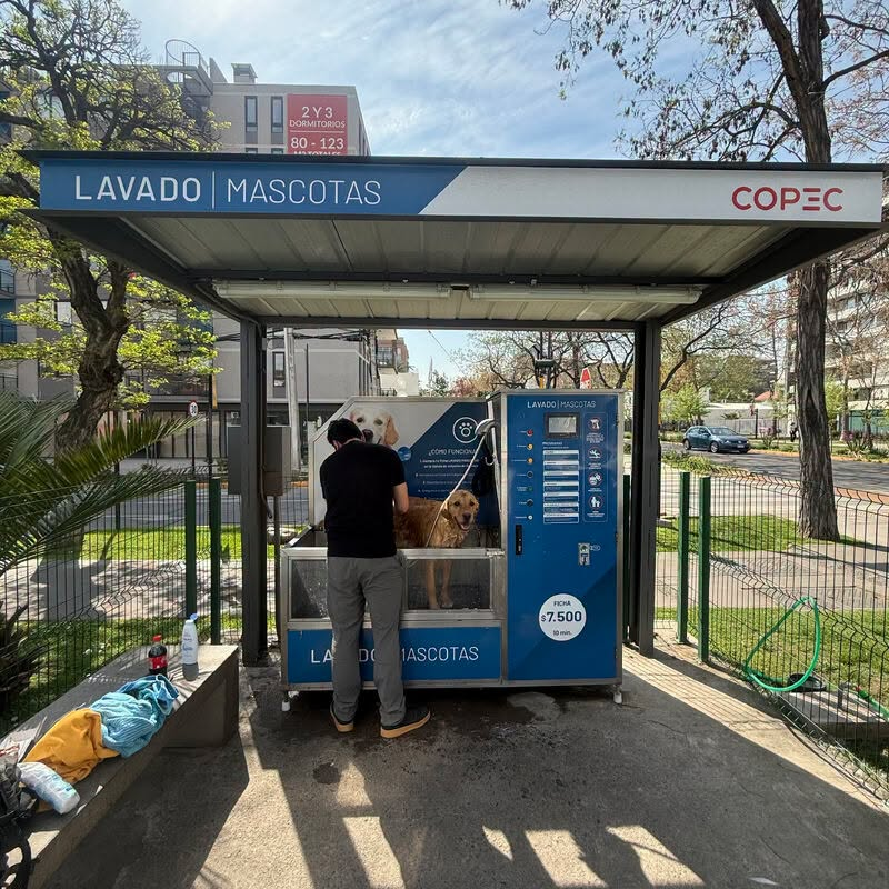 alegriagonzaa's tweet photo. Lavado de Mascotas #COPEC. https://t.co/9G6D3a4v4K