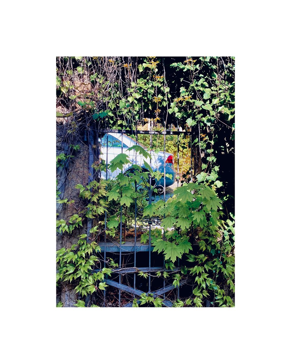 hannahtorresall's tweet photo. Magic in the Ordinary. https://t.co/jGwJhKu52v