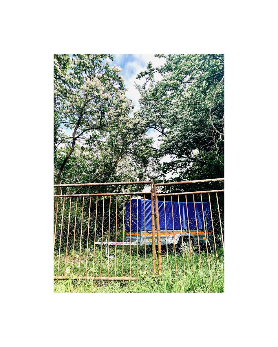hannahtorresall's tweet photo. Magic in the Ordinary. https://t.co/jGwJhKu52v