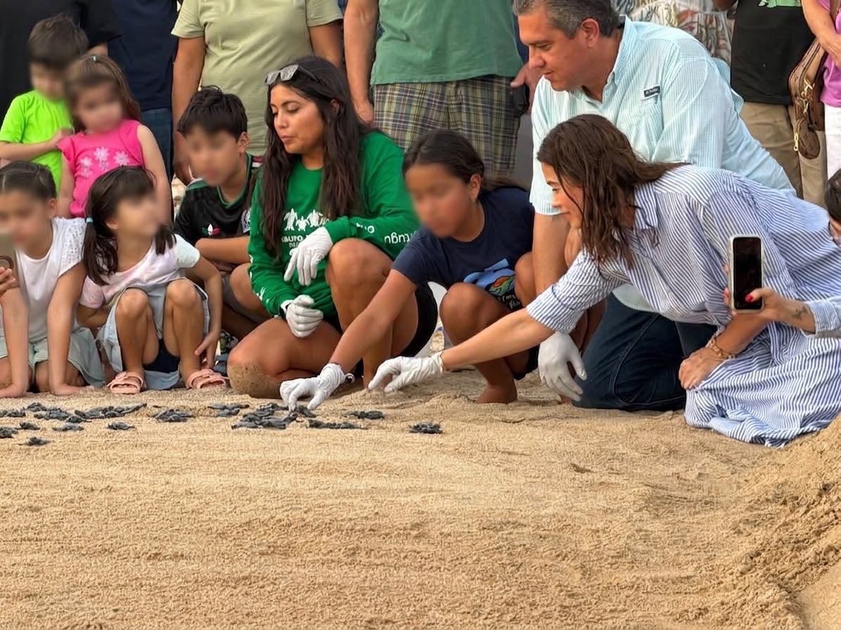 RamonCorralA's tweet photo. Una tarde muy especial en Bahía de Kino. 🐢🌊

Junto a mi esposa @KarlaPAguilarG , acompañamos al Grupo Tortuguero de Bahía de Kino en la liberación de 65 tortugas golfinas. 🐢🌊

Qué bonito verlas llegar al mar y ser parte de estos esfuerzos para proteger a una especie que está en peligro de extinción y conservar nuestras costas.