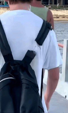 iceworm_'s tweet photo. sharks rn: https://t.co/R9U14PBjJQ