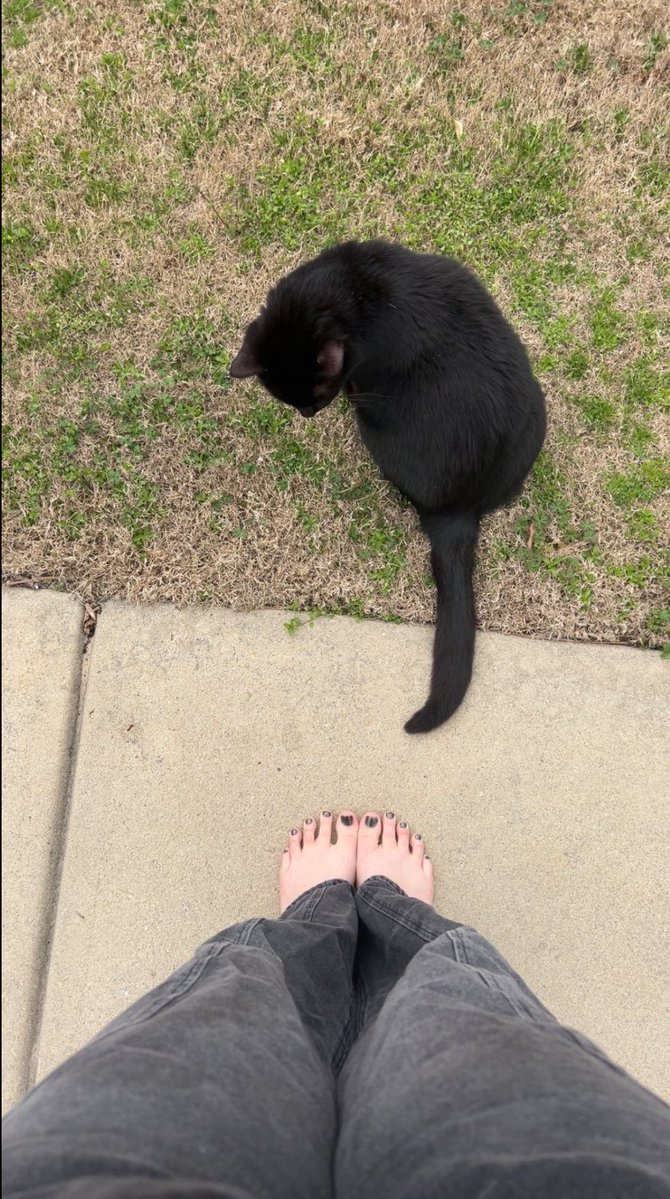 VoluptuousVi20's tweet photo. 🐾 
 #effortless #feet #worship #feetfetısh #enchanted https://t.co/jItBcHrEYP